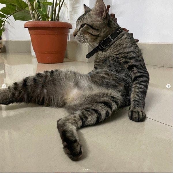 Nature and companionship